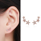 925 Sterling Silver Stud Earrings - 25 Options