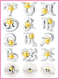 925 Sterling Silver Golden Star 12 Zodiac Charm