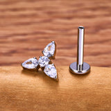 G23 Titanium 16G Body Piercing 10 Designs - 4 Sizes