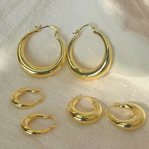 Stainless Steel Hoop Earrings - 2 Colours - 4 Options
