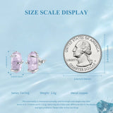 Fashion/925 Sterling Silver Amethyst Raw Crystal Stud Earrings