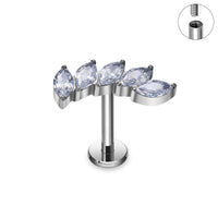 G23 Titanium 16G Body Piercing 10 Designs - 4 Sizes