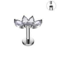 G23 Titanium 16G Body Piercing 10 Designs - 4 Sizes