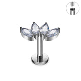 G23 Titanium 16G Body Piercing 10 Designs - 4 Sizes