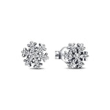925 Sterling Silver Earrings - 60 Designs
