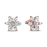 925 Sterling Silver Earrings - 60 Designs
