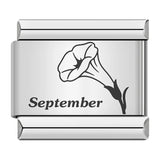 Stainless Steel Birthday Flower Italian Charm -- 12 Options