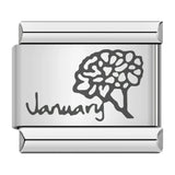 Stainless Steel Month Flower Italian Charm - 12 Options