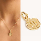 Stainless Steel Gold Colour Irregular Round Coin Zodiac Sign Necklace - 12 Options