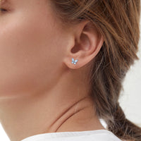 G23 Titanium Butterfly Stud Earrings - 5 Colours