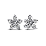 925 Sterling Silver Earrings - 60 Designs