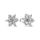925 Sterling Silver Earrings - 60 Designs