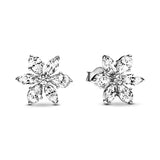 925 Sterling Silver Earrings - 60 Designs