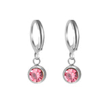 Stainless Steel Birthstone Hoop Earrings - 2 Colours - 12 Options
